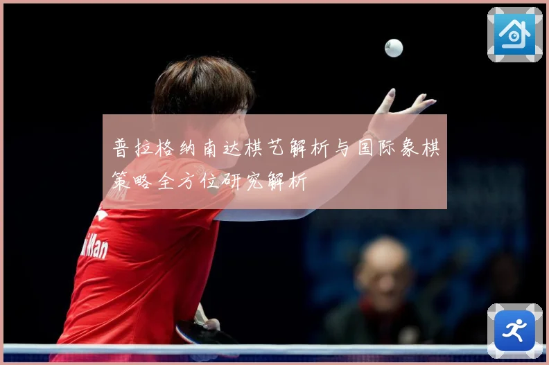 普拉格纳南达棋艺解析与国际象棋策略全方位研究解析